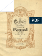 CAMPAGNOLI.pdf