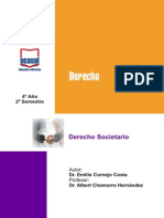 Modulo Derecho Societario PDF