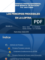 PRINCIPIOS PROCESALES EN LA LOPTRA.pptx