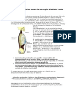 Los Desequilibrios Musculares Según Vladimir Janda