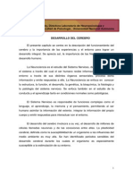 DESARROLLO DEL CEREBRO CORREGIDO - Desbloqueado PDF