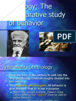 Ethology Study of Behavior