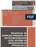 Complejo Principal de Histocompatibilidad (CPH