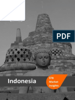 STB Market Insights - Indonesia PDF