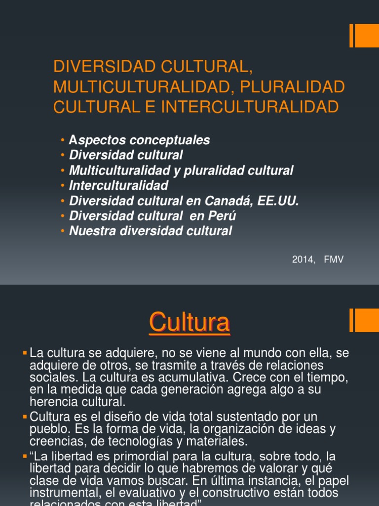 Diversidad Cultural y Pluralidad en Colombia | PDF | Diversidad ...