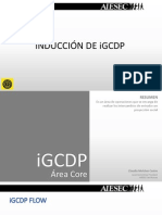 Plantilla iGCDP.pdf