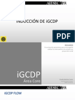 Plantilla iGCDP PDF