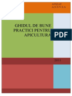 Ghid de Bune Practici in Apicultura