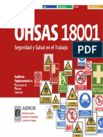w_433_OHSAS_18001.pdf