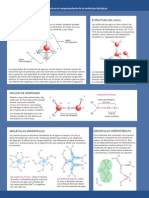 3 EL_agua_y_su_influencia_en_el_comportamiento_de_las_moleculas_biologicas.pdf