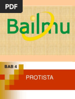 Download BAB 4 PROTISTAppt by rismawidiy SN243068461 doc pdf