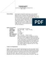 Guinea Pig Care Sheet PDF