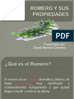 Propiedades del romero