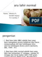Bayi baru lahir normal PPT.pptx