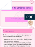 Prevencion Del Cancer de Mama FEDECREDITO 16-10-2013