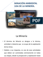 CONTAMINACION AMBIENTAL Por Mineria