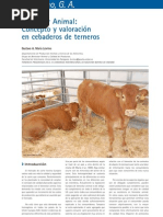 Download Cra y Salud 28_34-43_Bienestar Animal  Concepto y valoracin en cebaderos de terneros by Axoncomunicacion SN24308438 doc pdf