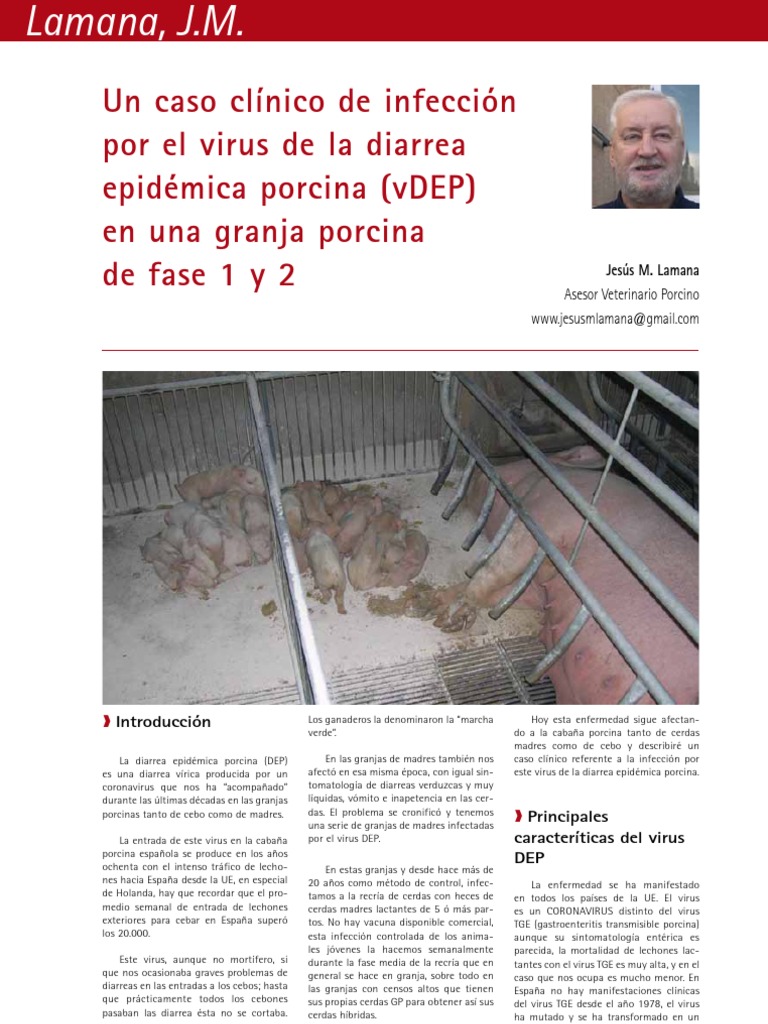 Cría y Salud 28_6670_Un caso clínico de infección por el virus de la