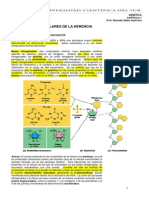 Lectura 1-BASES - MOLECULARES - DE - LA - HERENCIA-1 PDF
