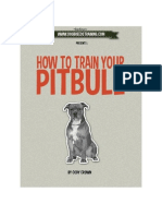 How to Train Your Pit Bull
