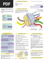 Guia do Utilizador.pdf