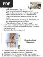 Organizational Diagnosis