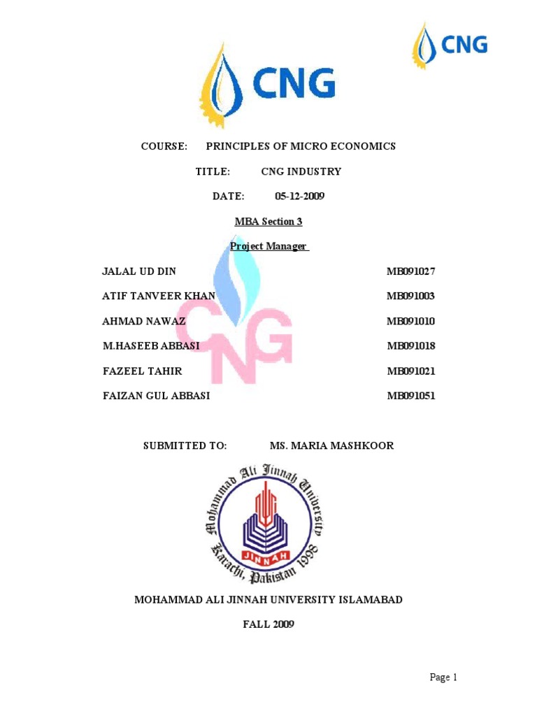 Report On CNG | PDF | Liquefied Petroleum Gas | Natural Gas