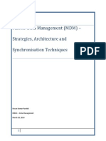 B9021 TermPaper MasterDataManagement-1