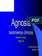Agnosia_Ari_Balieiro_2008no.pdf