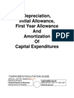 Depreciation, Initial Allowance, First Year Allowance and Amortization of Capital Expenditures