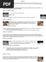 Reglas y características del hurling | PDF