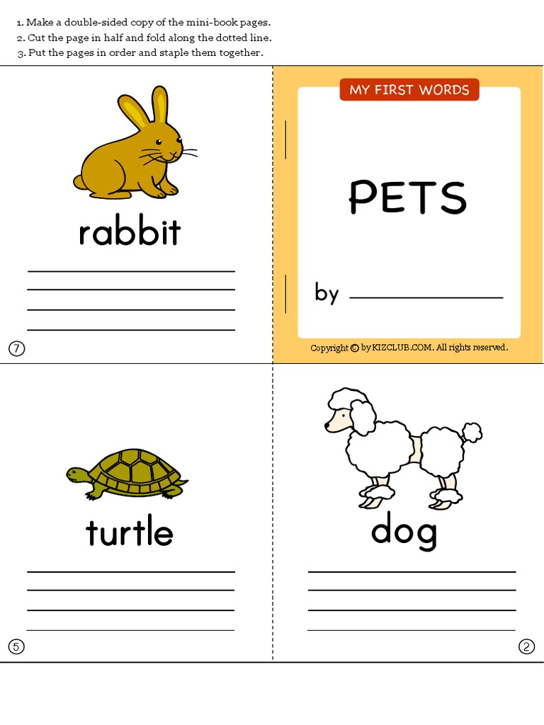 Rabbit: My First Words | PDF | Language Arts & Discipline