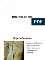 2. Deteccion de celo (NLBC).ppt