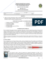 Practica 1.pdf