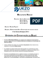 Monumento Natural: Unidades de proteção no Brasil