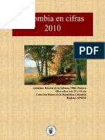 ANUARIO indicadores colombianos 2010.pdf