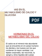 HORMONAS EN EL METABOLISMO DE CALCIO Y GLUCOSA.pptx