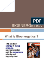 BIOENERGETIKA