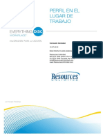 everything-disc-workplace-profile-spanish (1).pdf