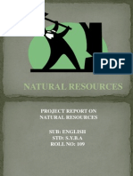 Natural Resources Project Report
