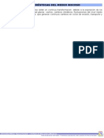 Unidades 3 y 4 PDF