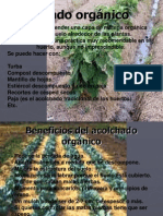 Beneficios del acolchado orgánico y de plástico en el huerto