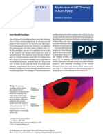 Burn Wound Paradigm.pdf