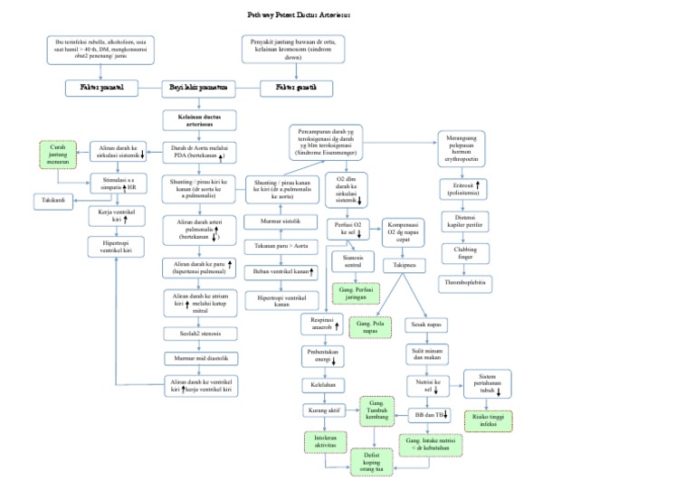 Pathway dan Patofisiologi PDA Anak | PDF