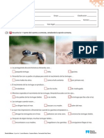 Pruebadecomprensionauditiva PDF