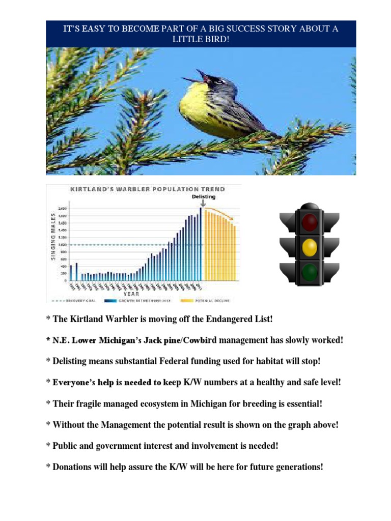 It'S Easy To Become Part of A Big Success Story About A Little Bird! | PDF