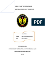 Download Laporan Praktikum Respirasi Pada Hewan Dan Tumbuhan by retnoningkristiana SN243204872 doc pdf