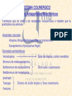 Colinergico 2 PDF