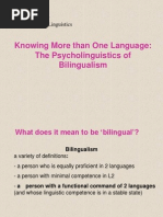 L19Bilingualism