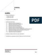 PBL 1 Panca Indera - Konjungtivitis - Lusy